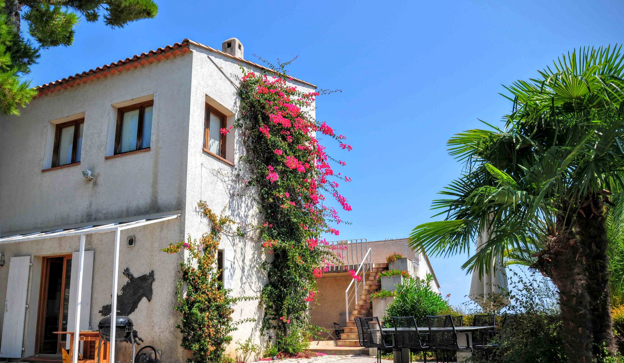 Bougainvillea an der Fassade